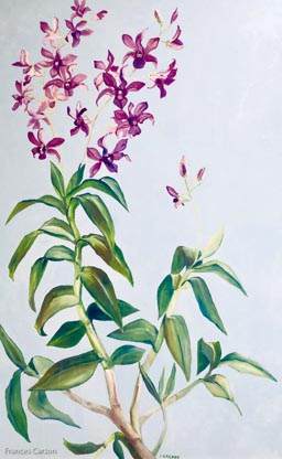 Frances Carson - The Orchid - 48 x 30 - Oil