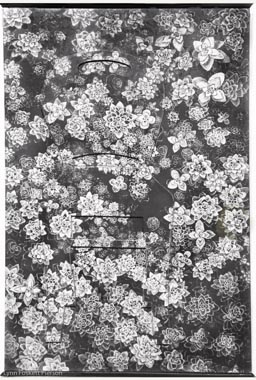 Lynn Foskett Pierson - Succulents  (Garden Chair)- 42 x 28 - Graphite