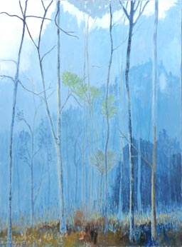 Barre Barrett - Foggy Forest - 40 x 30 - Oil