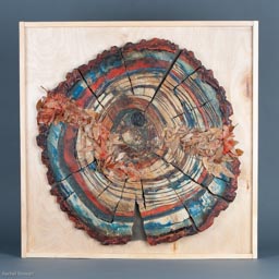 Rachel Stewart - Phenomena - 30 x 30 - Wood and Waxed Leaves