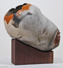 Lynn Warnicke - Nigerian Nautilus -  16 x 14 x 9 - Clay and Wood