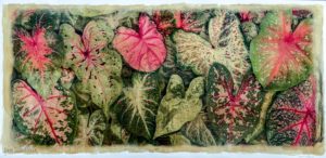 Jim Swallow Caladium Collage