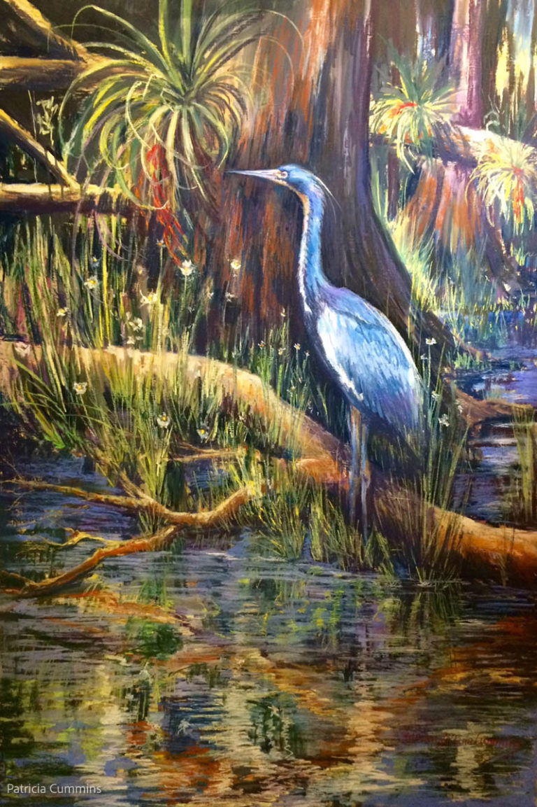 Tri Color Heron At Big Cypress 60×40