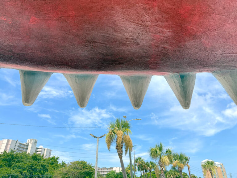 Liz Murphy Thomas, Two for Ten, photography, variable sizes, 2025